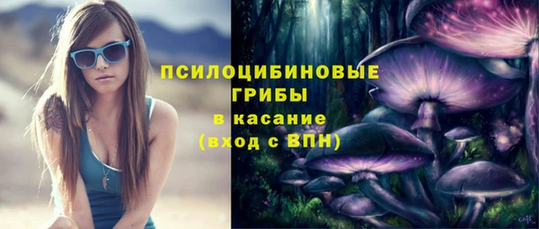мет Арсеньев
